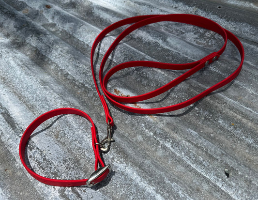 Collar and Leash Bundle 1/2inch