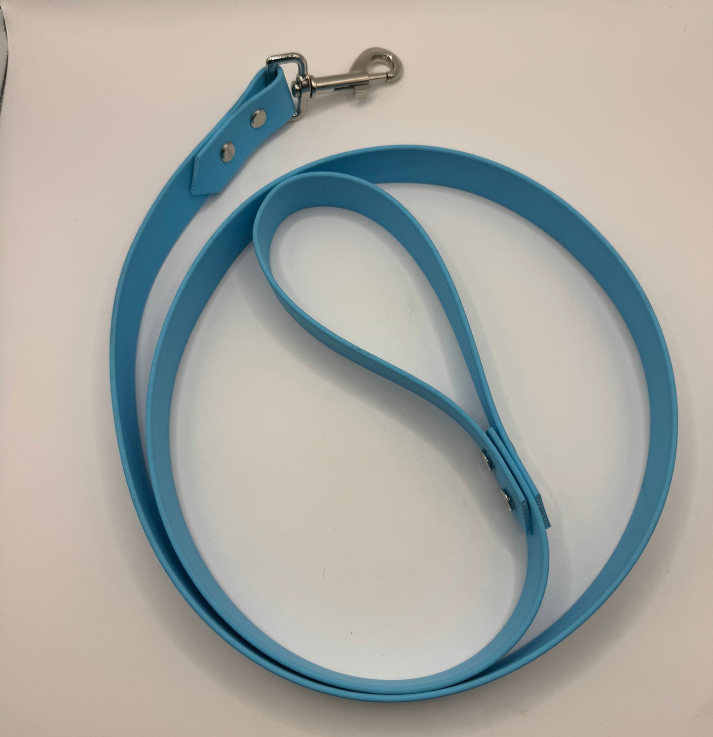 1 inch Biothane Leash
