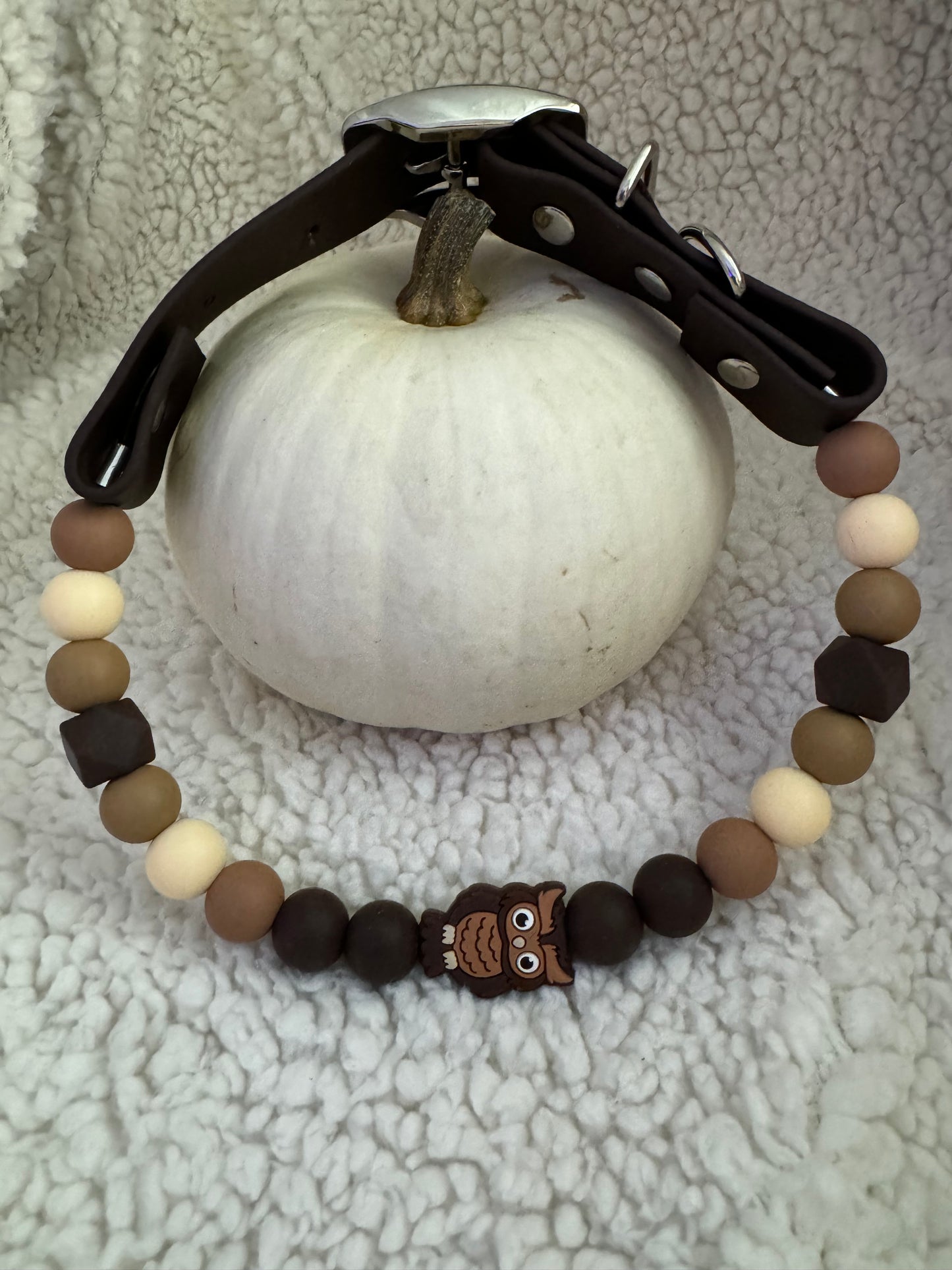 Chocolate Owl (Premade)