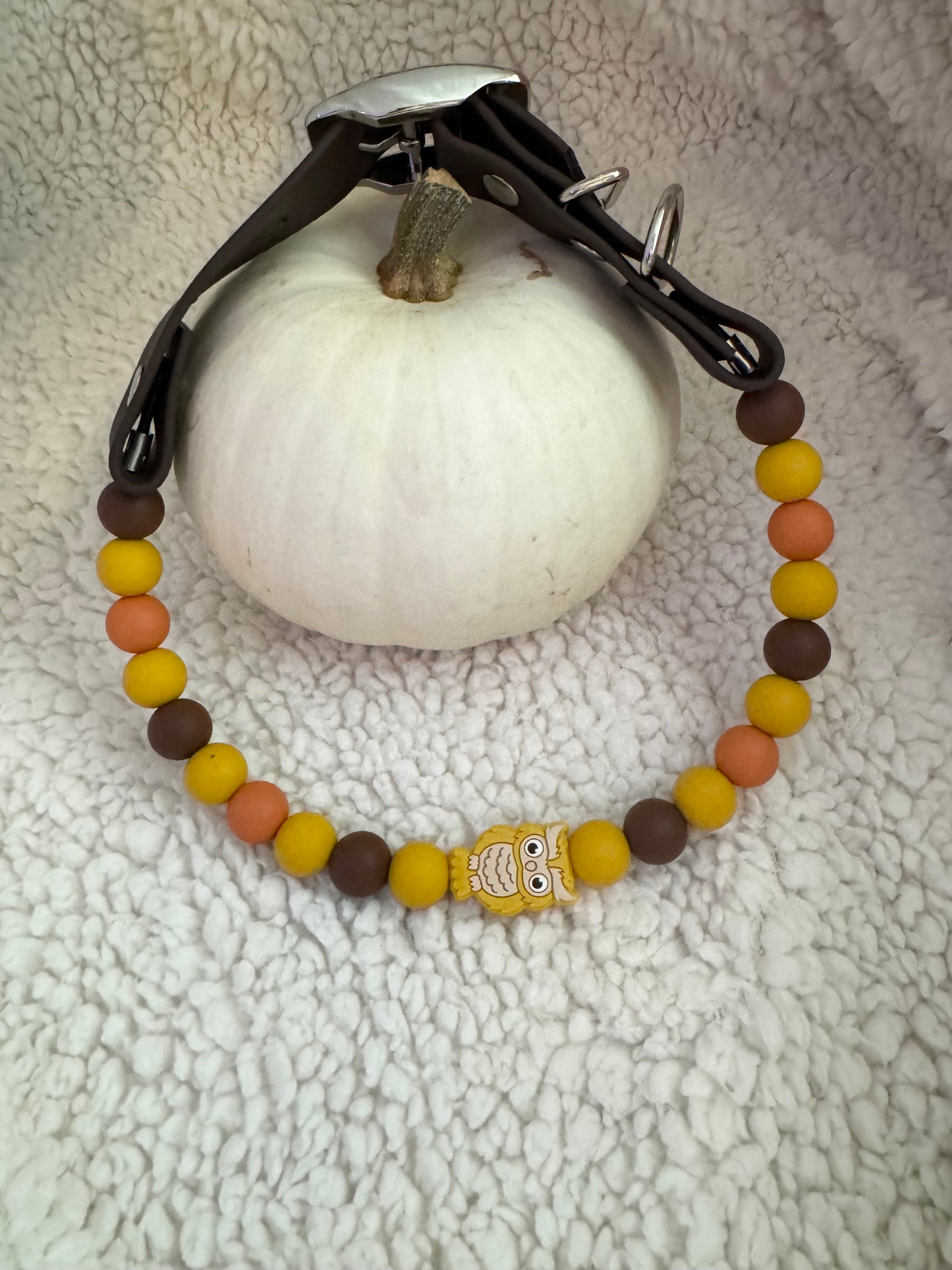 Fall Owl 1 (Premade)