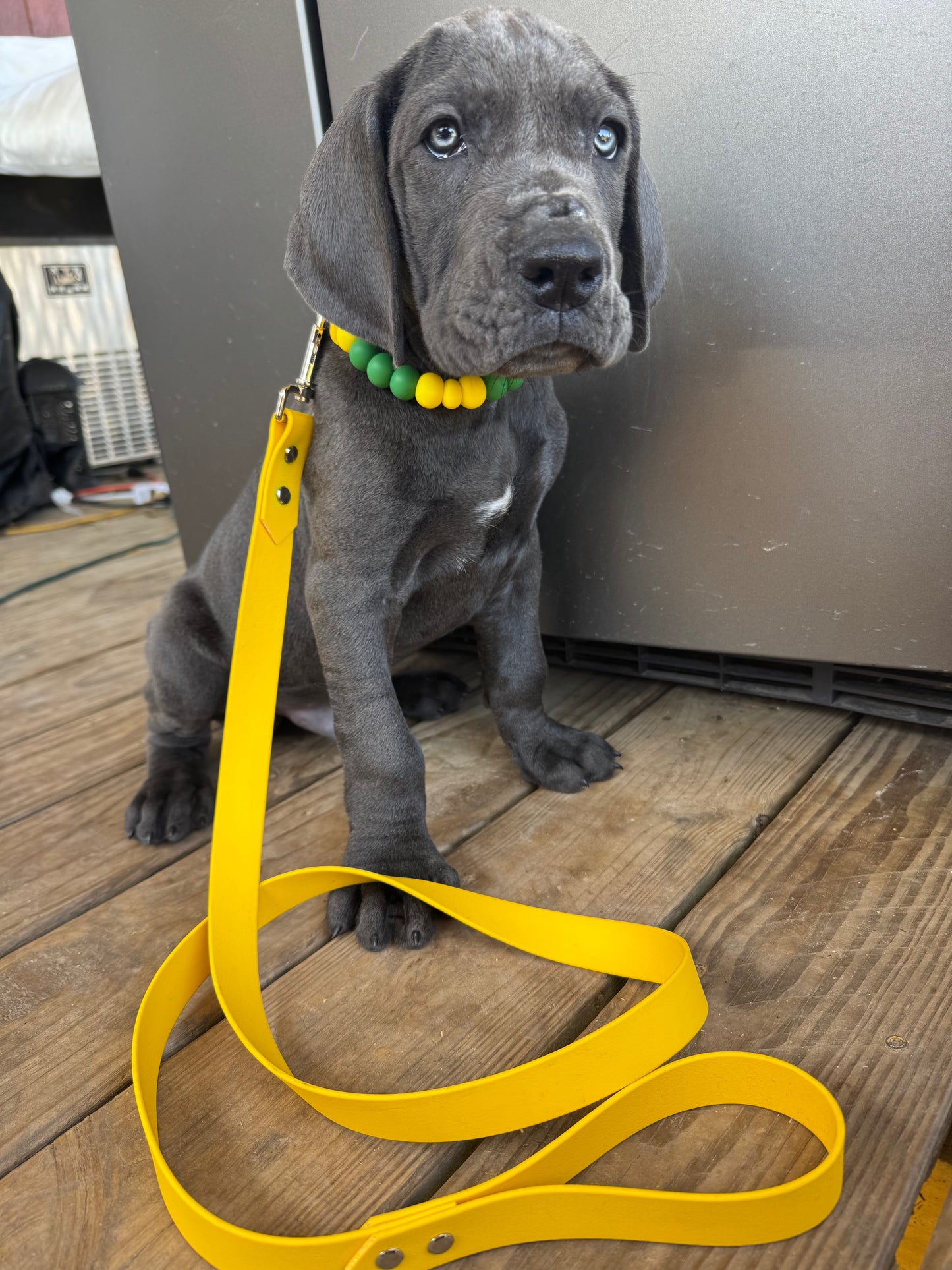 1 inch Biothane Leash