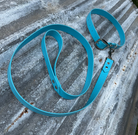 Collar and Leash Bundle 1" Biothane