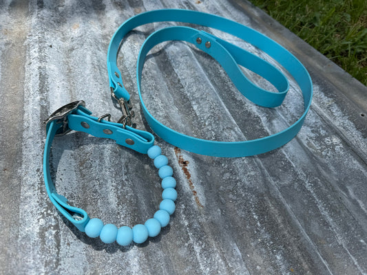 Beaded Collar and Leash Bundle 1" Biothane