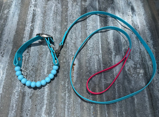 1 inch Beaded Collar and 1/2inch Leash Bundle