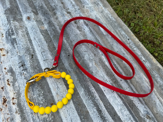 Beaded Collar and Leash Bundle 1/2inch