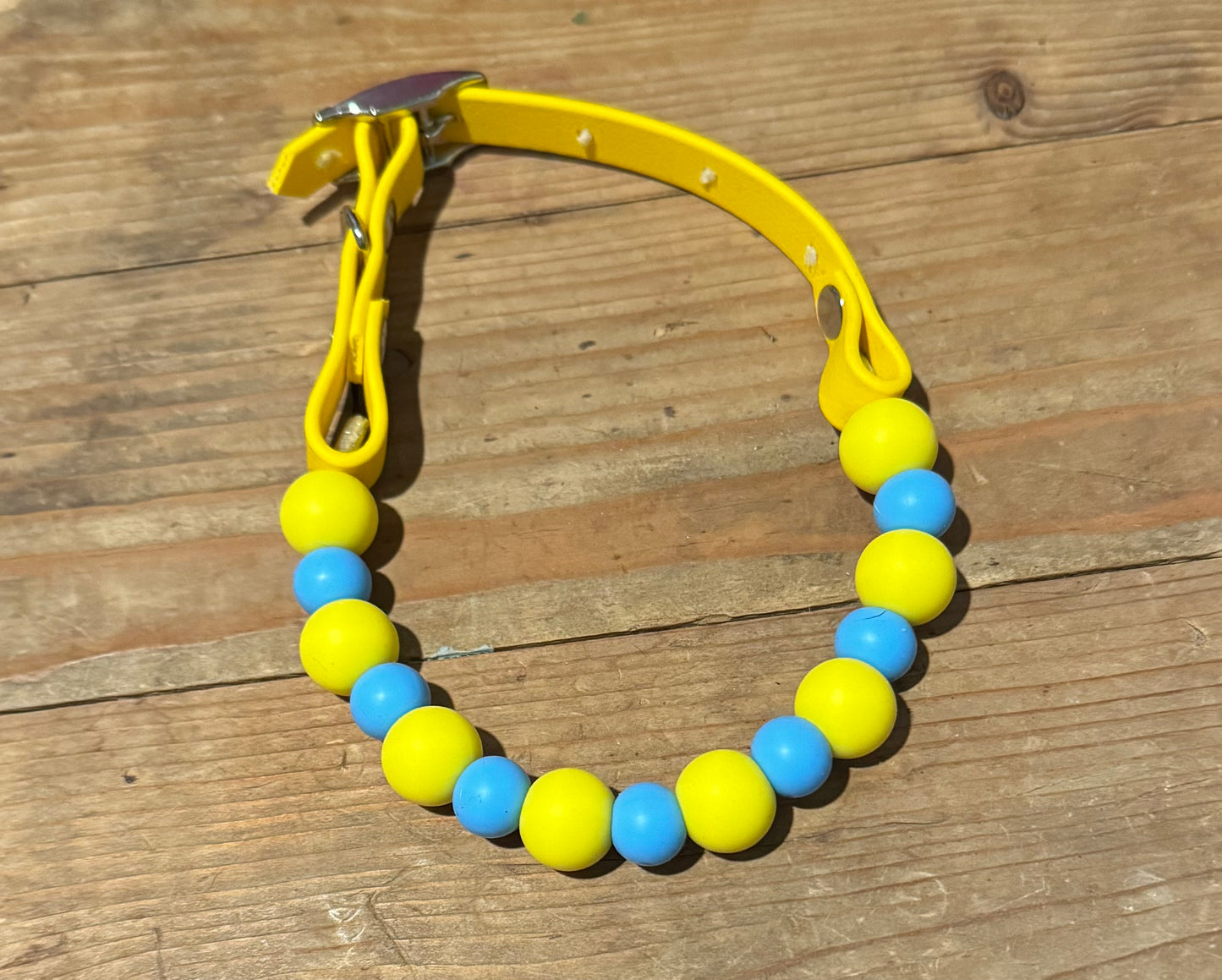 Sky Blue and Yellow Two Toned